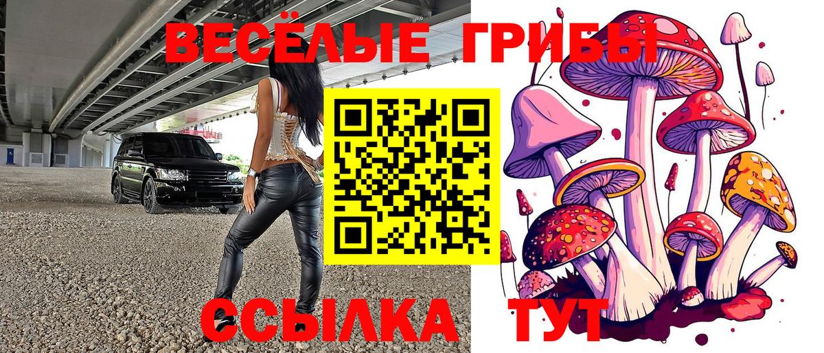 Пушкино  Галлюциногенные грибы Psilocybe  Вход с VPN 