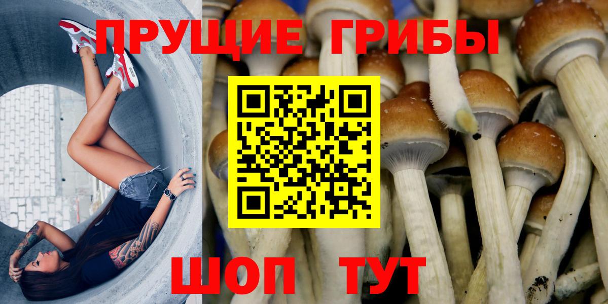 Галлюциногенные грибы Magic Shrooms Пушкино